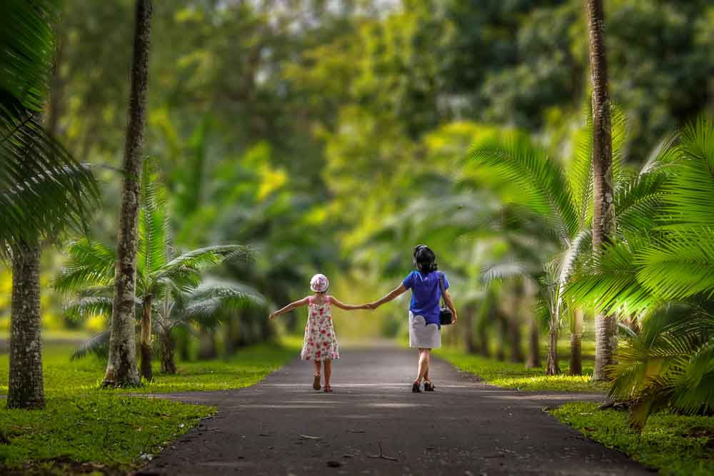 Mauritius Live