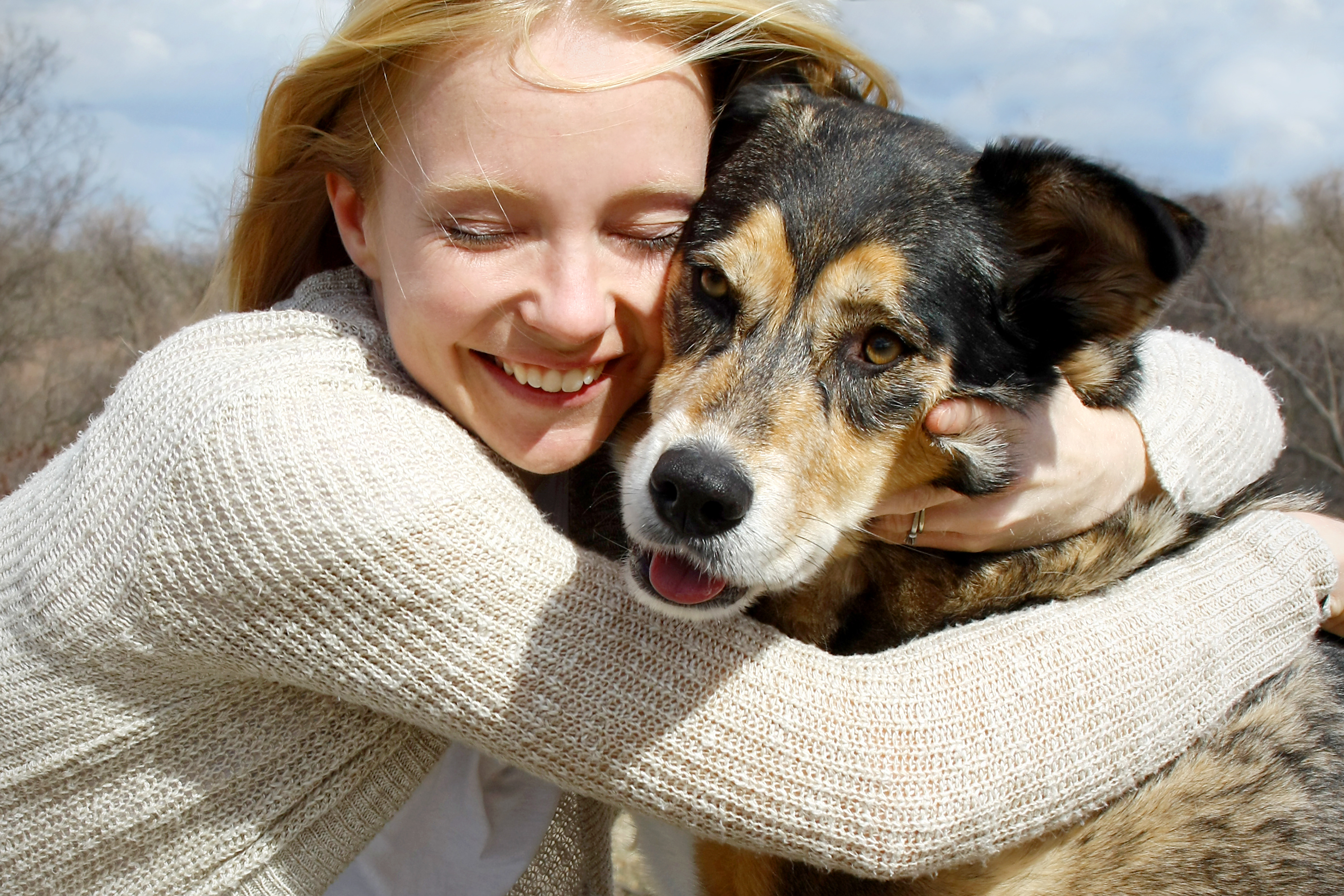 Bringing Pets to Mauritius: The Complete Guide